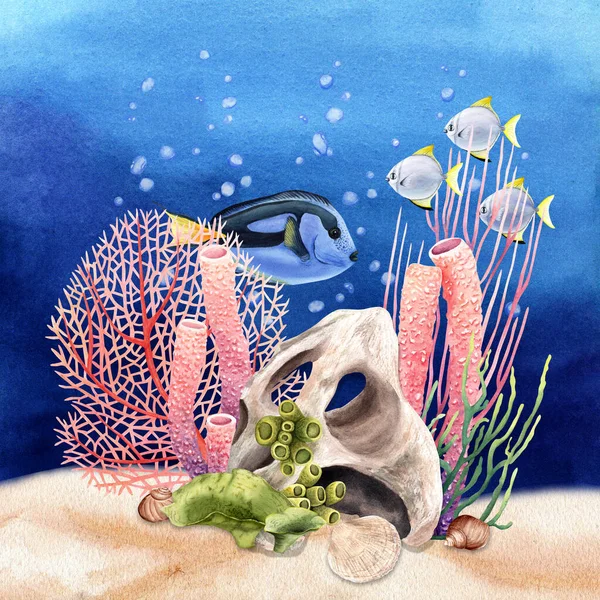 异国情调的鱼类和贝壳的水下成分 手工绘制的水彩画孤立在蓝色的洗涤背景上 用于剪贴画 — 图库照片