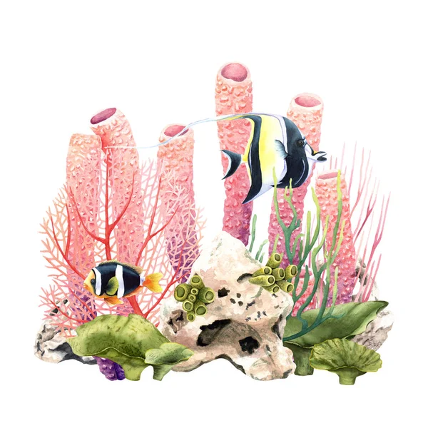 五彩斑斓的珊瑚礁水下场景在白色背景上孤立的手绘水彩画 用于剪贴画 — 图库照片