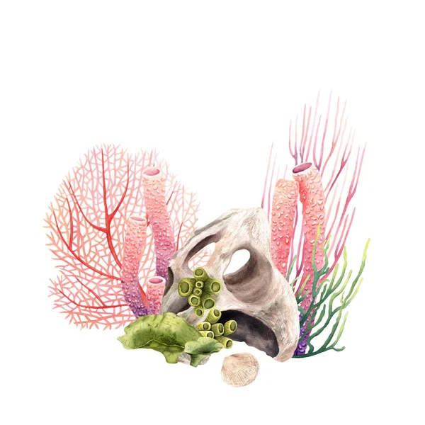サンゴ礁の水中組成物 白地に描かれた手描き水彩画 クリップアート カード パッケージのために — ストック写真