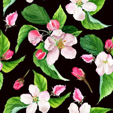 Seamless pattern with apple tree blooms, buds and leaves. Hand drawing watercolor illustration isolated on black background. Floral elements for wrapping, decor, textile, fabric.