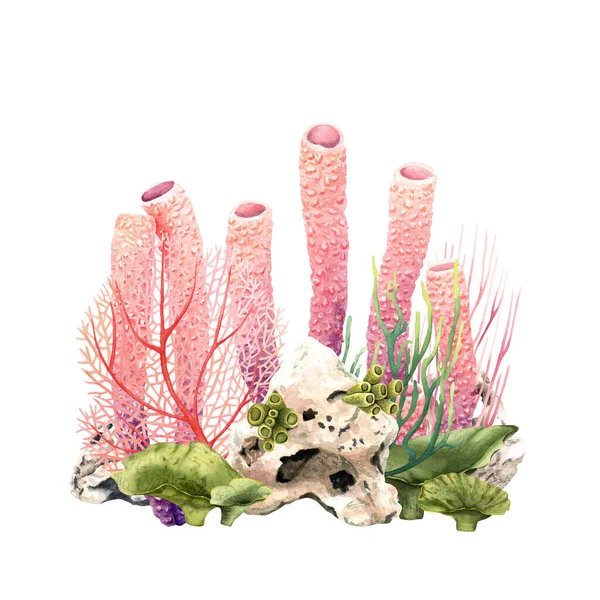 五彩斑斓的珊瑚礁水下场景在白色背景上孤立的手绘水彩画 用于剪贴画 — 图库照片