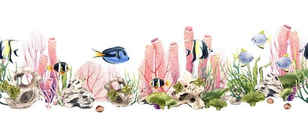 无缝化的水彩画重复与水下生物的边界 如珊瑚 异国情调的鱼 在白色背景上孤立的手绘水彩画 邀请函 剪贴画 — 图库照片