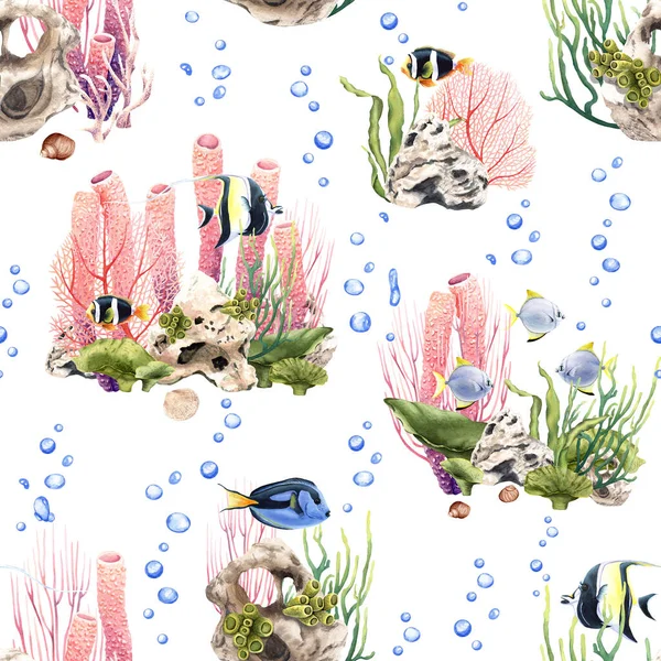 水彩斑斓的无缝图案与灯芯绒和异国情调的鱼 在白色背景上隔离的用于包装 纺织品的说明 — 图库照片