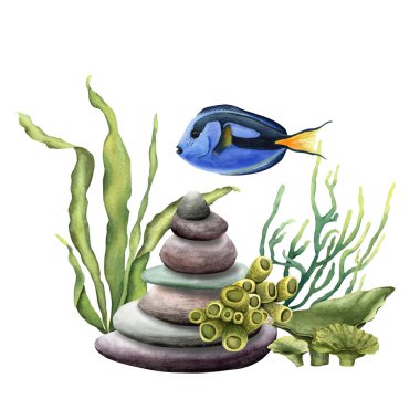 Çakıl taşları, mercan resif bitkileri ve balıklarla dolu bir deniz altı bileşimi. Beyaz arka planda elle çizilmiş suluboya çizimi. Klip sanatı, kartlar, paketler için