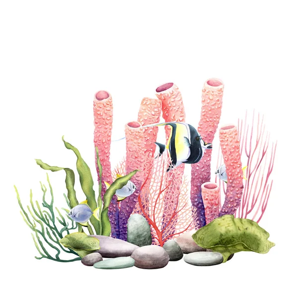 珊瑚礁植物和鱼类的水下成分 在白色背景上孤立的手绘水彩画 剪贴画 — 图库照片