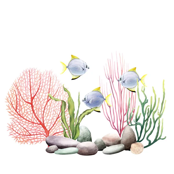 由珊瑚礁植物和鱼类组成的海底结构 在白色背景上孤立的手绘水彩画 剪贴画 — 图库照片