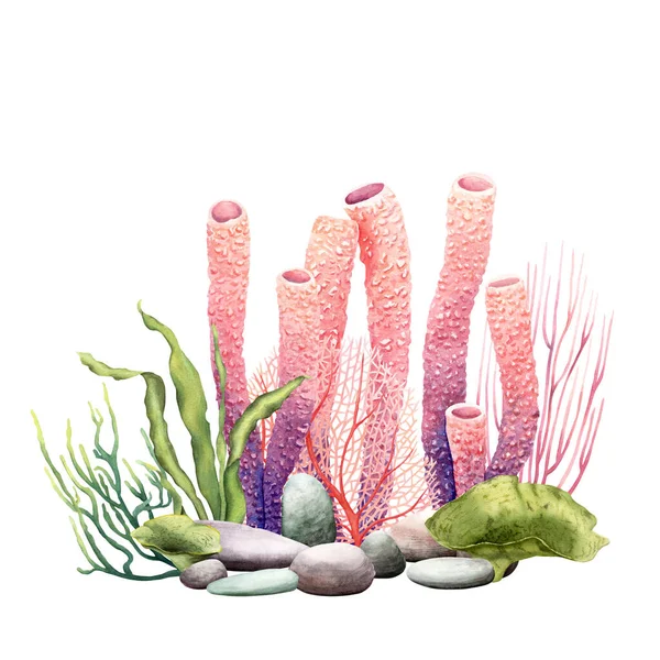 珊瑚礁植物和卵石的水下成分 在白色背景上孤立的手绘水彩画 剪贴画 — 图库照片