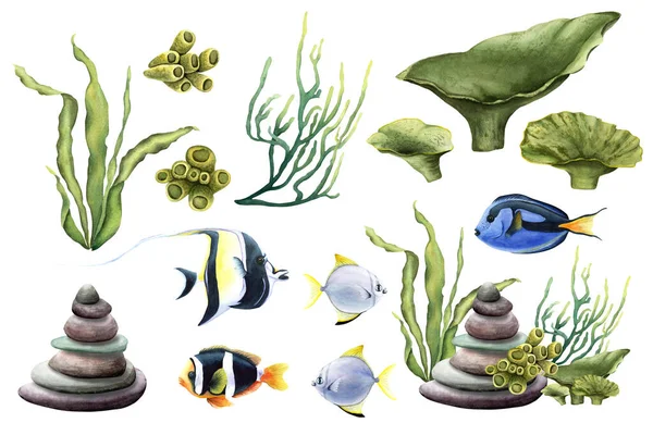 海底构成与一堆卵石 珊瑚礁植物和鱼类 在白色背景上孤立的手绘水彩画 剪贴画 — 图库照片