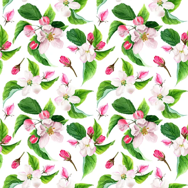 Seamless Pattern Apple Tree Blooms Buds Leaves Hand Drawing Watercolor — стоковое фото