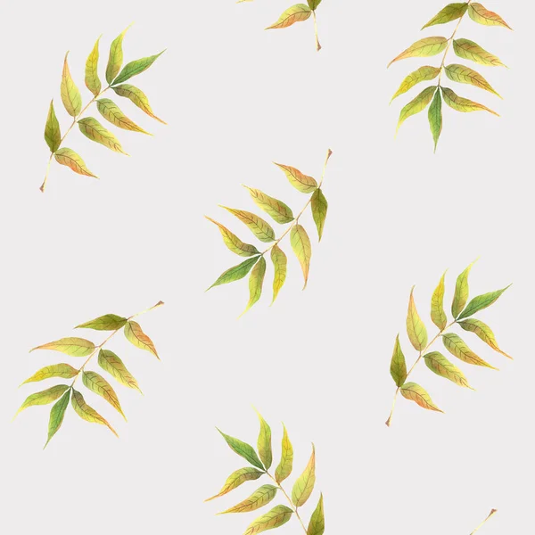 秋天树叶的水彩斑斓的图案 在明亮的背景上孤立的手绘插图 纺织品 织物用 — 图库照片