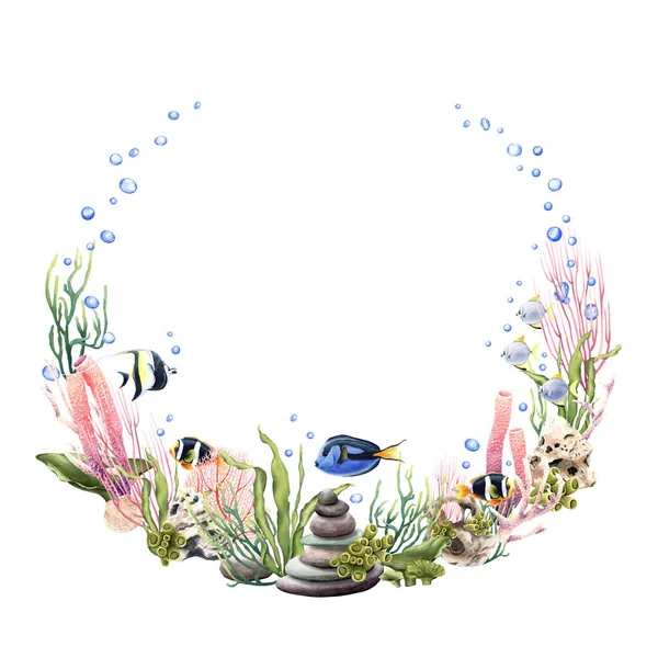 Watercolor wreath with sea corals, plants and tropical fish. Hand drawn underwater floral illustration isolated on white background. For clip art, cards, packages