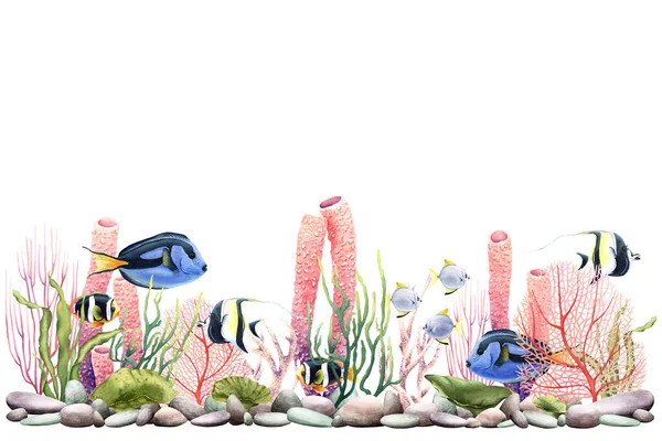 バナー サンゴとして水中生物との国境 エキゾチックな魚 白地に描かれた手描き水彩画 招待状 カード クリップアート パッケージの場合 — ストック写真