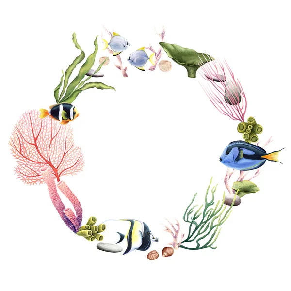 海珊瑚 植物和热带鱼的水彩花环 在白色背景上孤立的手工绘制的水下花卉插图 剪贴画 — 图库照片
