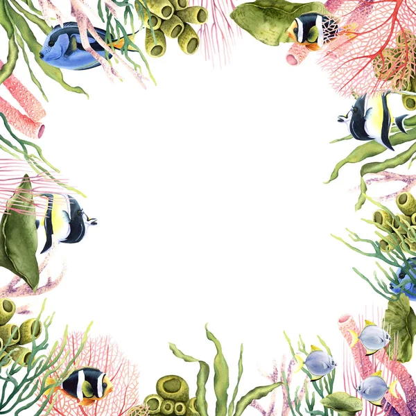 水彩画与海珊瑚 植物和热带鱼接壤 在白色背景上孤立的手工绘制的水下花卉插图 剪贴画 邀请函 — 图库照片