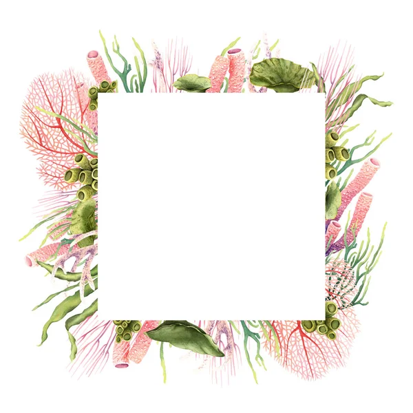 正方形框架 与水下珊瑚和植物接壤 在白色背景上孤立的手工绘制的花卉插图 剪贴画 邀请函 — 图库照片