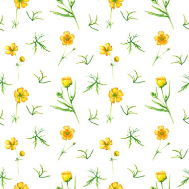 Sarı yabani çiçek çiçeği, yaprak ve tomurcukları olan pürüzsüz bir desen. El çizimi suluboya çizimi beyaza izole edilmiş. Dekor, tekstil, kumaş, ambalaj için.