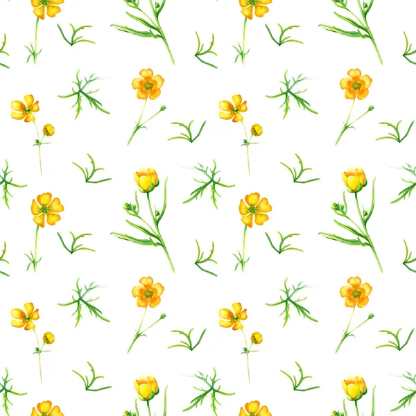 无缝隙的花纹 黄色的野花 花瓣和芽 手绘水彩画孤立在白色上 纺织品 包装材料 — 图库照片
