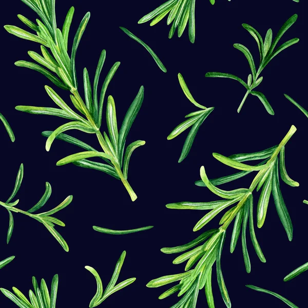 Akvarel Bezešvný Vzor Rozmarýnem Rosmarinus Officinalis Bylina Botanické Ručně Kreslené — Stock fotografie