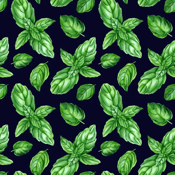 水色无缝图案与罗勒 硅胶草本植物 植物性手绘插图 用于包装 纺织品 — 图库照片