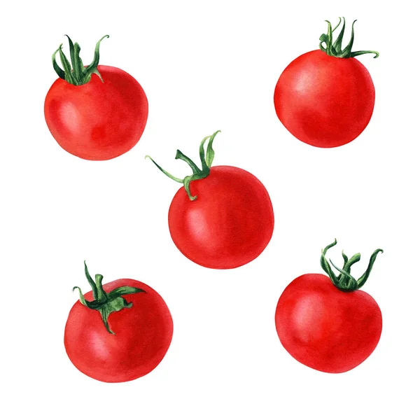 Zestaw Pomidorów Wiśniowych Ręcznie Rysowane Ilustracja Akwarela Izolowane Białym Tle — Zdjęcie stockowe