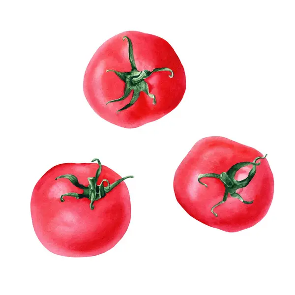 Ein Satz Roter Tomaten Handgezeichnete Aquarell Illustration Isoliert Auf Weißem — Stockfoto