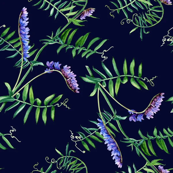 Seamless Pattern Wild Plant Blue Vetch Watercolor Botanical Illustration Wrapping — Stock Photo, Image
