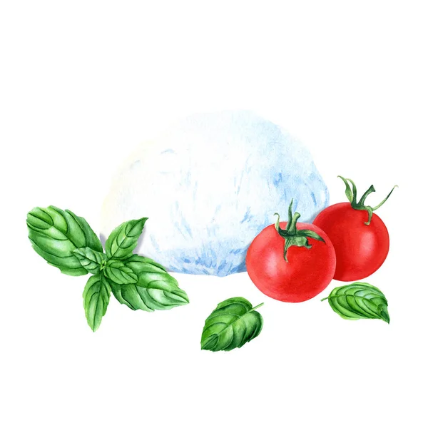 莫扎瑞拉奶酪 樱桃西红柿和罗勒的组合 手绘水彩画 在白色背景上隔离 用于剪贴画 — 图库照片