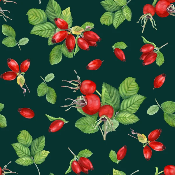 Watercolor Seamless Pattern Brier Leaves Branches Berries Hand Drawn Illustration — Stock Photo, Image