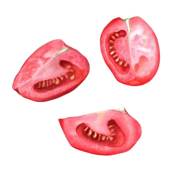 Zestaw Czerwonych Plasterków Pomidora Ręcznie Rysowane Ilustracja Akwarela Izolowane Białym — Zdjęcie stockowe