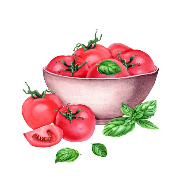 ボウルとバジルで新鮮な赤いトマトで構成されています クリップアート メニュー ラベル パッケージのための白で隔離された水彩画のイラスト — ストック写真