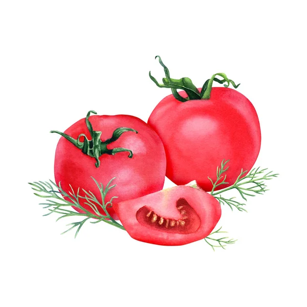 全新鮮な赤いトマト スライスと料理のハーブディルで構成されています クリップアート メニュー ラベル パッケージのための白い背景に手描きの水彩画のイラスト — ストック写真