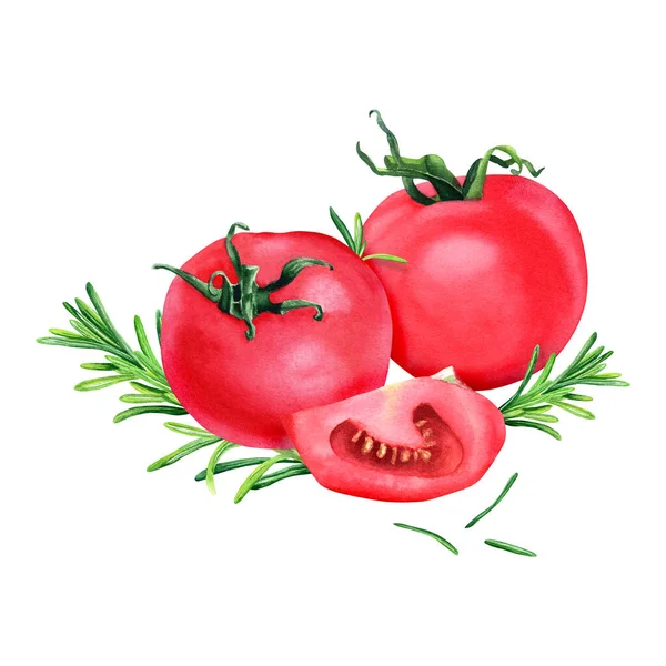 Kompozycja Świeżymi Czerwonymi Pomidorami Plasterkami Rozmarynem Ręcznie Rysowane Ilustracja Akwarela — Zdjęcie stockowe