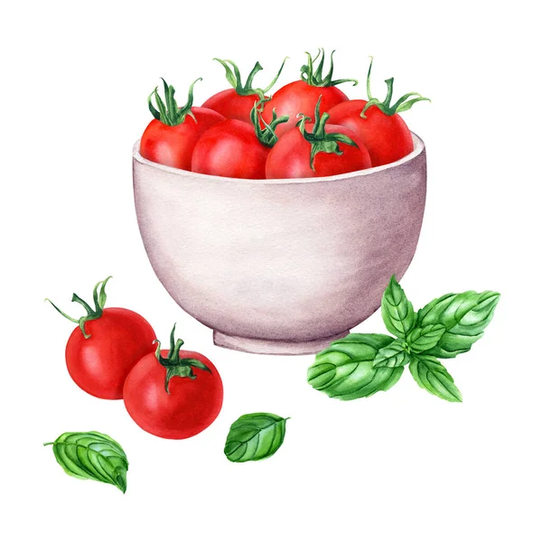 Ceramiczna Biała Miska Pomidory Wiśniowe Bazylia Ręcznie Rysowane Ilustracja Akwarela — Zdjęcie stockowe