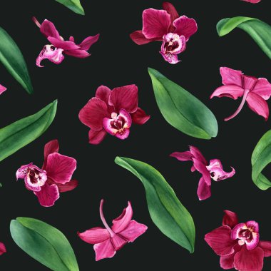 Tropik çiçek orkidesi Phalaenopsis 'in yaprakları ve çiçekleri ile sulu boya deseni. Paket, duvar kağıdı, kumaş ve tekstil için resim