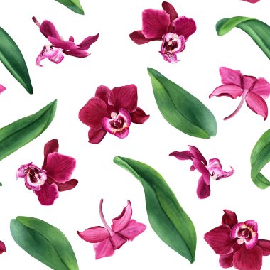 Tropik çiçek orkidesi Phalaenopsis 'in yaprakları ve çiçekleri ile sulu boya deseni. Resim ambalaj, duvar kağıdı, kumaş ve tekstil için beyaz arkaplanda izole edildi