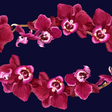 Çiçekli tropik çiçek orkidesi Phalaenopsis dallı sulu boya deseni. Paket, duvar kağıdı, kumaş ve tekstil için resim