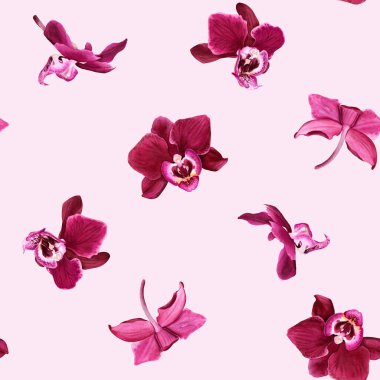 Tropik çiçek orkidesi Phalaenopsis çiçekli sulu boya deseni. Paket, duvar kağıdı, kumaş ve tekstil için resim