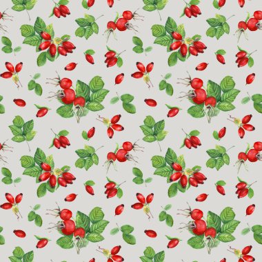 Brier yapraklı ve böğürtlenli suluboya desenli. El çizimi çizimleri arka planda izole edilmiş. Paket, dekor, tekstil, kumaş için.