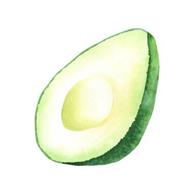 Avokado meyvesinin yarısı. Beyaz arka planda elle çizilmiş suluboya çizimi. Klip sanatı, menü, etiket paketi için