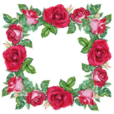 Kırmızı çiçekli kare çerçeve çiçek açar, yapraklar ve tomurcuklar. Beyaz arka planda elle çizilmiş suluboya çizimi. Klip sanatı, kartlar, davetiyeler, etiket, selamlama