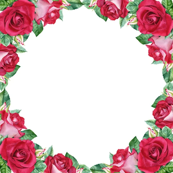 Çiçekli çerçeve güller açar, yapraklar ve tomurcuklar. Beyaz arka planda elle çizilmiş suluboya çizimi. Klip sanatı, kartlar, davetiyeler, etiket