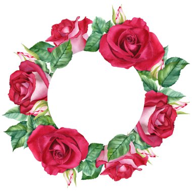 Çiçekli çelenkler çiçek açar, yapraklar ve tomurcuklar. Beyaz arka planda elle çizilmiş suluboya çizimi. Klip sanatı, kartlar, davetiyeler, selamlama, etiket