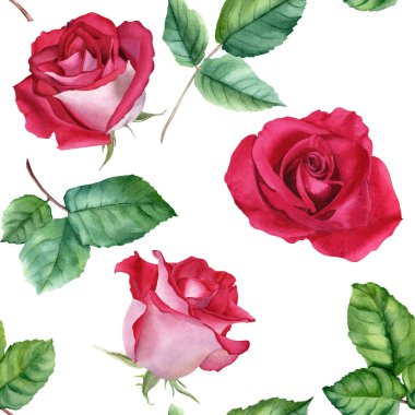 Çiçekli suluboya desen çiçek açar ve yapraklanır. Beyaz arka planda izole edilmiş botanik suluboya çizimi. Sarma, duvar kağıdı, kumaş, tekstil için.