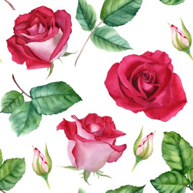 Çiçekli suluboya desen çiçek açar ve tomurcuklanır. Botanik illüstrasyon beyaz arkaplanda izole edildi. Sarma, duvar kağıdı, kumaş, tekstil için.