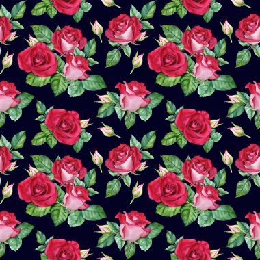 Kırmızı gülün açtığı, tomurcuklandığı ve yaprakları döküldüğü desensiz çiçek deseni. Botanik suluboya çizimi. Sarma, duvar kağıdı, kumaş, tekstil için.