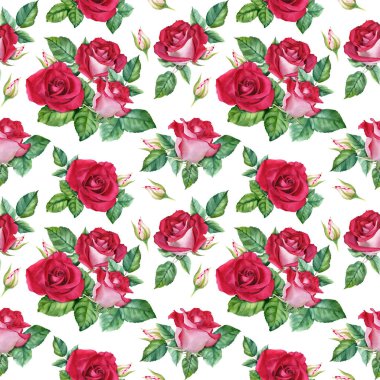 Kırmızı gülün açtığı, tomurcuklandığı ve yaprakları döküldüğü desensiz çiçek deseni. Beyaz arka planda izole edilmiş botanik suluboya çizimi. Sarma, duvar kağıdı, kumaş, tekstil için.