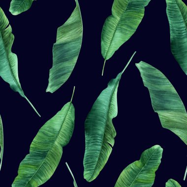 Muz ağacı yapraklı suluboya desenli. El çizimi çizimi. Sarma, duvar kağıdı, kumaş, tekstil için..