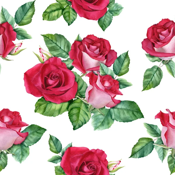 Çiçekli kusursuz desen çiçek açar ve tomurcuklanır. Beyaz arka planda izole edilmiş botanik suluboya çizimi. Sarma, duvar kağıdı, kumaş, tekstil için.