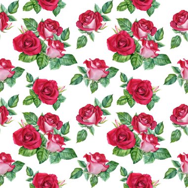 Çiçekli kusursuz desen çiçek açar ve tomurcuklanır. Beyaz arka planda izole edilmiş botanik suluboya çizimi. Sarma, duvar kağıdı, kumaş, tekstil için.