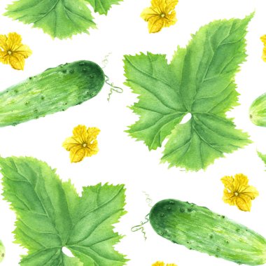 Beyaz arka planda yeşil salatalıklı ve çiçekli yeşil sebze salatalıklı suluboya desenleri var. El çizimi suluboya çizimi. Sarma, duvar kağıdı, kumaş, tekstil için.